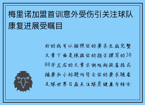 梅里诺加盟首训意外受伤引关注球队康复进展受瞩目